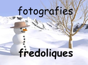 Fotografies fredoliques